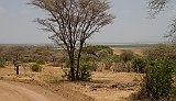 Lake Manyara Park